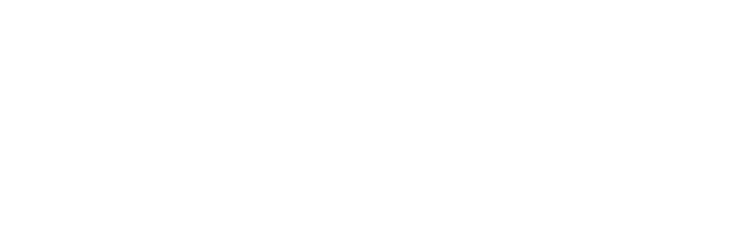 lead generation - city lodge hotel group logo