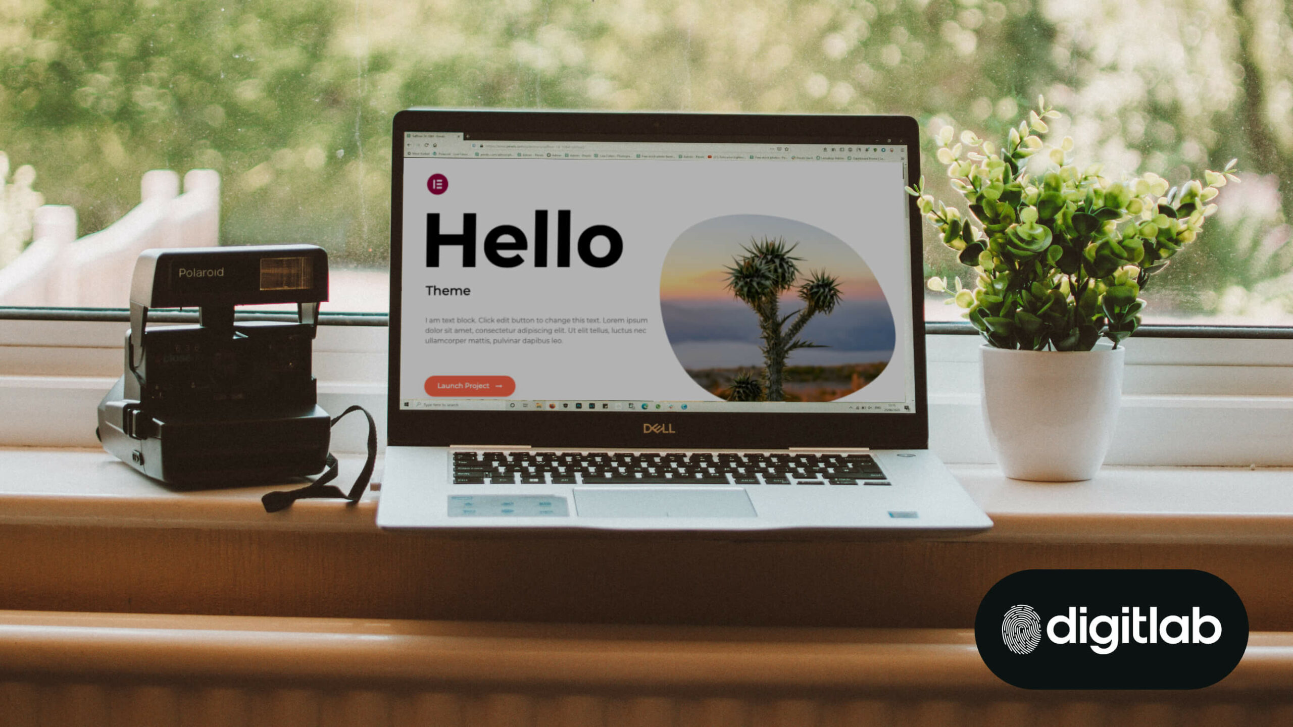 The Digital Toolkit: Hello Theme for WordPress - laptop on a desk