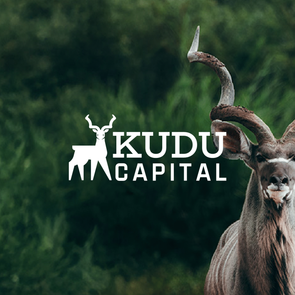 African Investment Firm Branding